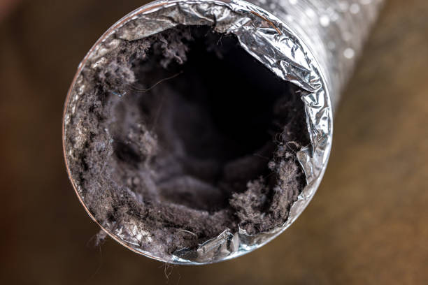 Best Ductwork Cleaning Services  in West Carthage, NY